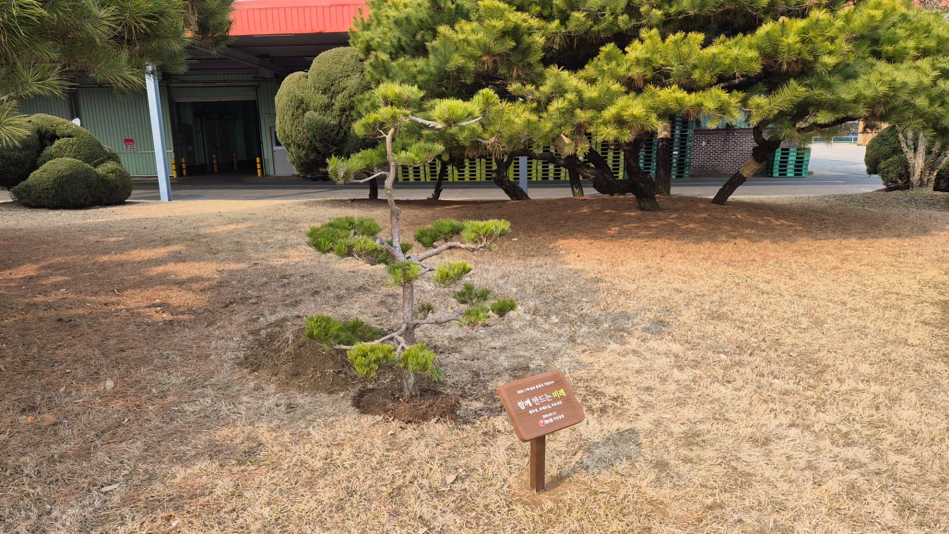 농심 아산공장 기념식수식 및 임직원 이벤트 진행 - Image 2